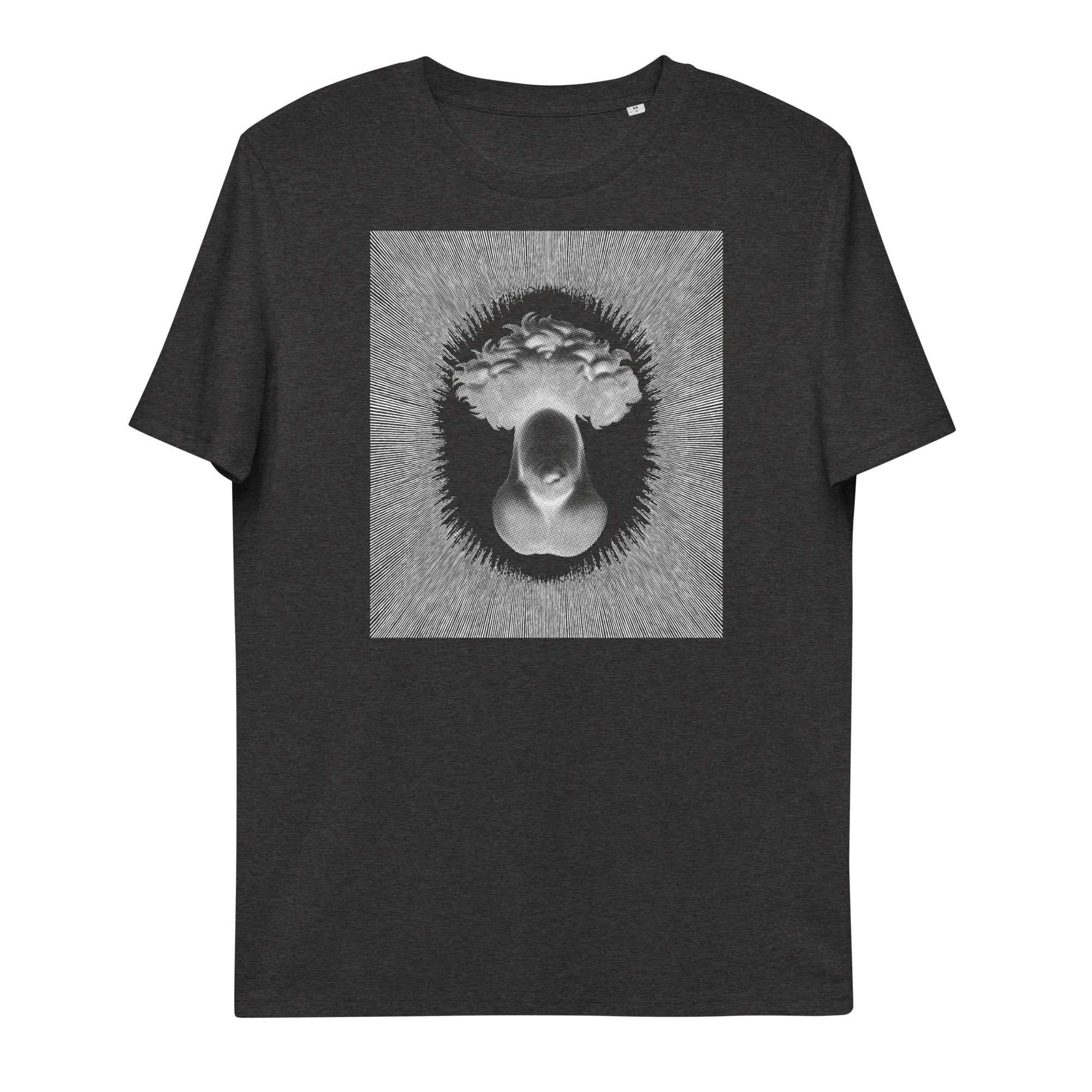 DAVID'S MASTERPIECE • Organic T-shirt