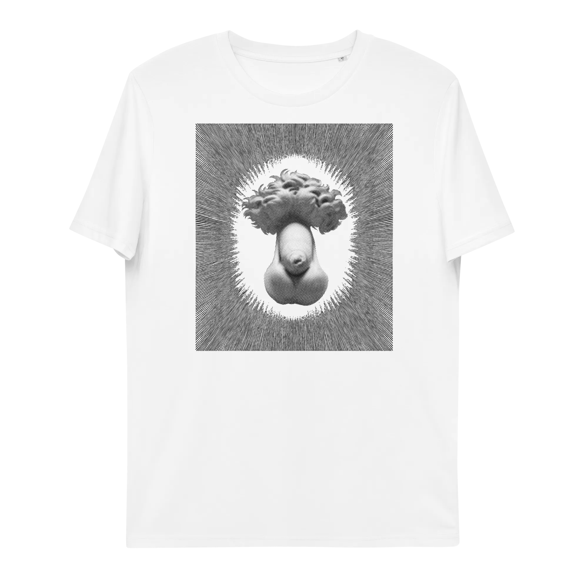 DAVID'S MASTERPIECE • Organic T-shirt